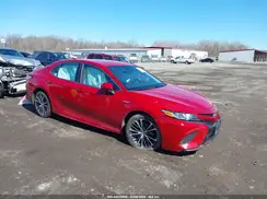4T1G31AK4LU012446 2020 TOYOTA CAMRY
