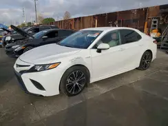 4T1G31AK4LU012978 2020 TOYOTA CAMRY
