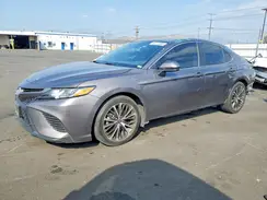 4T1G31AK4LU526359 2020 TOYOTA CAMRY
