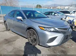 4T1G31AK4LU534705 2020 TOYOTA CAMRY