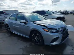 4T1G31AK4LU535319 2020 TOYOTA CAMRY