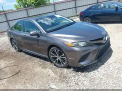 4T1G31AK4LU543890 2020 TOYOTA CAMRY