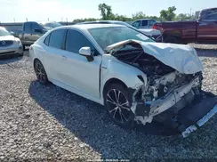 4T1G31AK4LU546031 2020 TOYOTA CAMRY