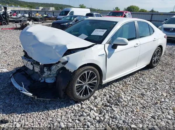 4T1G31AK4LU546031 2020 TOYOTA CAMRY - Image 2