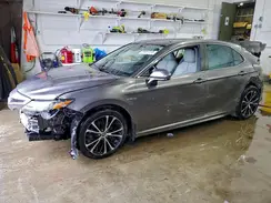 4T1G31AK4LU546207 2020 TOYOTA CAMRY