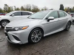 4T1G31AK5LU521512 2020 TOYOTA CAMRY