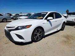 4T1G31AK5LU527391 2020 TOYOTA CAMRY