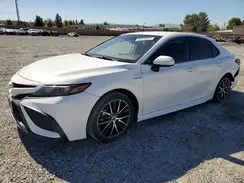 4T1G31AK5MU563504 2021 TOYOTA CAMRY