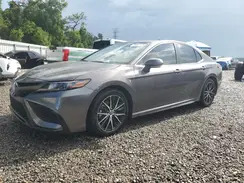 4T1G31AK5NU597153 2022 TOYOTA CAMRY