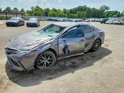 4T1G31AK5RU071854 2024 TOYOTA CAMRY