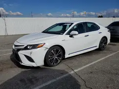 4T1G31AK6LU012979 2020 TOYOTA CAMRY