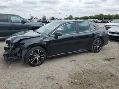 4T1G31AK6LU534544 2020 TOYOTA CAMRY