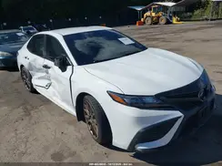 4T1G31AK6PU050282 2023 TOYOTA CAMRY
