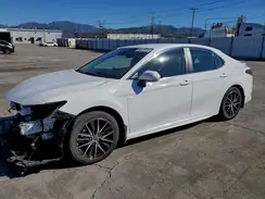 4T1G31AK6RU622454 2024 TOYOTA CAMRY