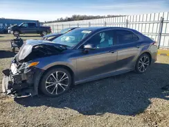 4T1G31AK7LU014384 2020 TOYOTA CAMRY