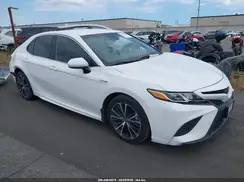 4T1G31AK7LU525562 2020 TOYOTA CAMRY