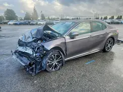 4T1G31AK7LU534357 2020 TOYOTA CAMRY