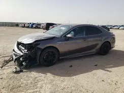 4T1G31AK7LU535363 2020 TOYOTA CAMRY