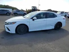 4T1G31AK7LU540370 2020 TOYOTA CAMRY