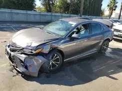 4T1G31AK8LU535159 2020 TOYOTA CAMRY