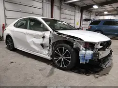 4T1G31AK8LU545156 2020 TOYOTA CAMRY