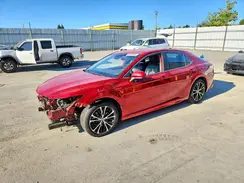 4T1G31AK9LU019490 2020 TOYOTA CAMRY