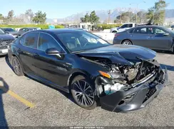 4T1G31AK9LU519763 2020 TOYOTA CAMRY