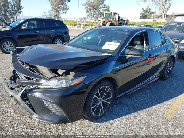 4T1G31AK9LU519763 2020 TOYOTA CAMRY - Image 2