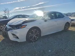 4T1G31AK9LU525305 2020 TOYOTA CAMRY