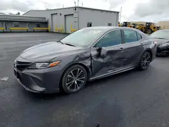 4T1G31AK9LU545005 2020 TOYOTA CAMRY