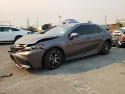 4T1G31AK9MU562324 2021 TOYOTA CAMRY