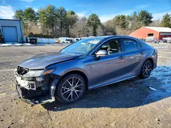 4T1G31AK9RU075339 2024 TOYOTA CAMRY