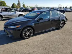 4T1G31AKXLU525538 2020 TOYOTA CAMRY