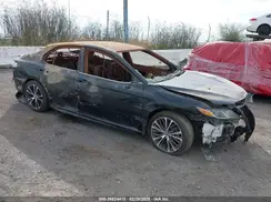 4T1G31AKXLU537592 2020 TOYOTA CAMRY