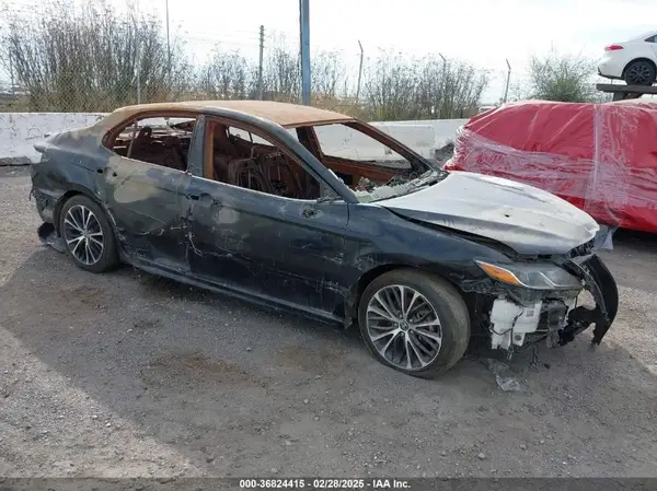 4T1G31AKXLU537592 2020 TOYOTA CAMRY - Image 1