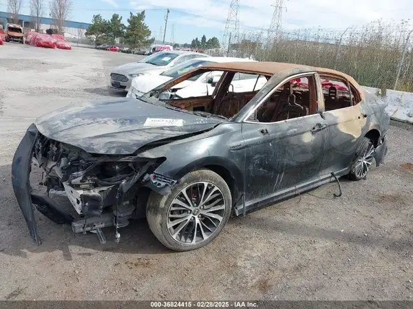 4T1G31AKXLU537592 2020 TOYOTA CAMRY - Image 2
