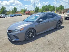 4T1G31AKXLU541982 2020 TOYOTA CAMRY