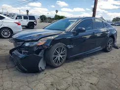 4T1G31AKXMU552174 2021 TOYOTA CAMRY