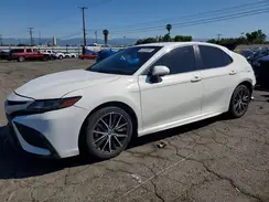 4T1G31AKXMU556130 2021 TOYOTA CAMRY
