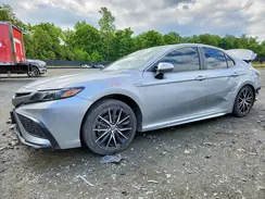 4T1G31AKXMU559948 2021 TOYOTA CAMRY