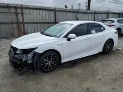 4T1G31AKXMU561795 2021 TOYOTA CAMRY