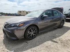 4T1G31AKXRU066097 2024 TOYOTA CAMRY