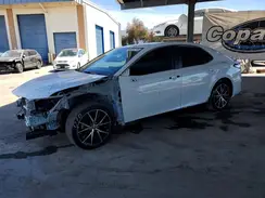 4T1G31AKXRU068531 2024 TOYOTA CAMRY