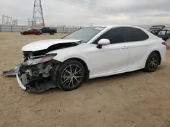 4T1G31AKXRU069498 2024 TOYOTA CAMRY