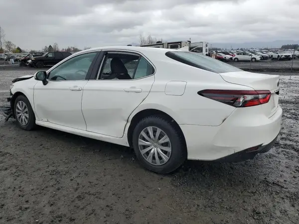 4T1H31AK3PU613356 2023 TOYOTA CAMRY - Image 2