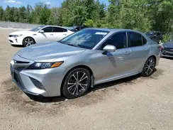 4T1J11AK1LU325384 2020 TOYOTA CAMRY