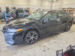 4T1J11AK1LU392079 2020 TOYOTA CAMRY