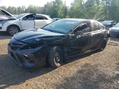4T1J11AK5LU940102 2020 TOYOTA CAMRY