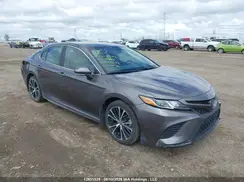 4T1J11AK8LU978844 2020 TOYOTA CAMRY