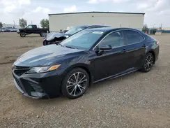 4T1J11AKXLU941486 2020 TOYOTA CAMRY